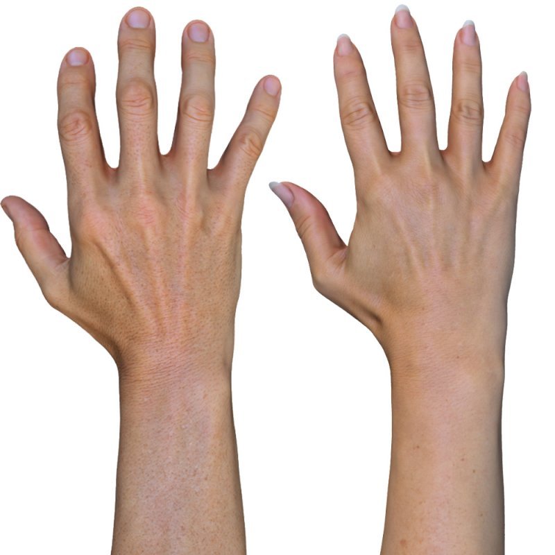 2 x Male And Female 3D Hand Models / White 40 Years Old