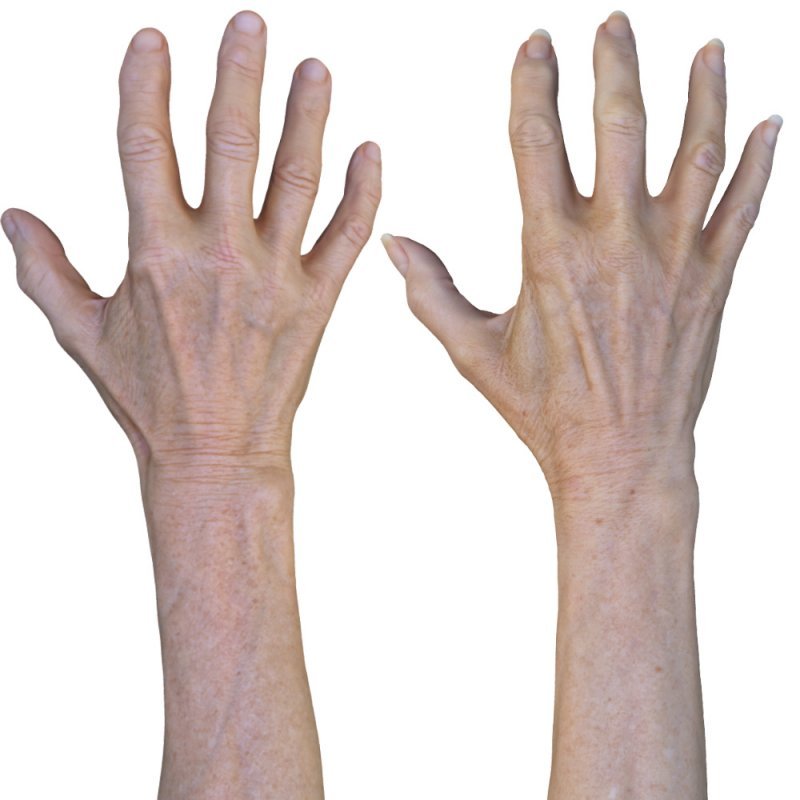 2 x Male And Female 3D Hand Models / White 60 Years Old