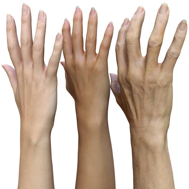 3 x Female 3D Hand Models / White 20/40/60 years old 