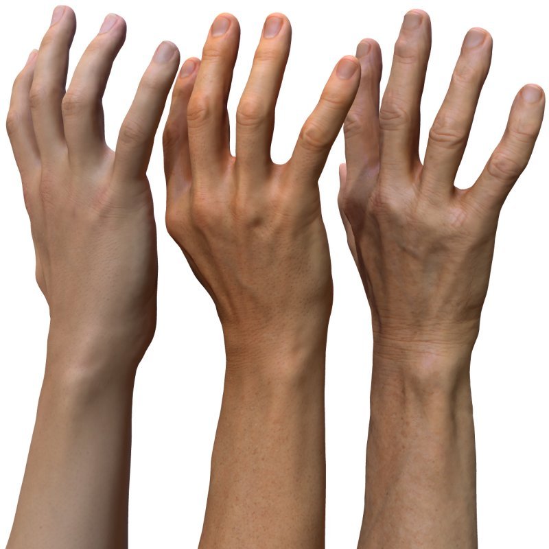 3 x Male 3D Hand Models / White 20/40/60 years old 