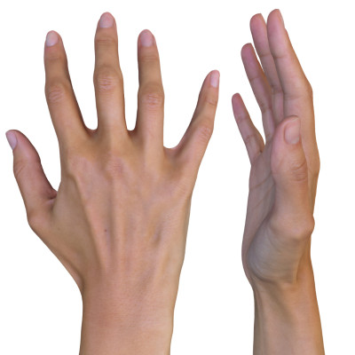 Female 3D Hand Model / Asian 20 Years Old