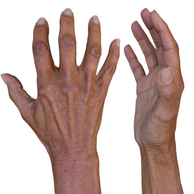 Female 3D Hand Model / Asian 60 Years Old