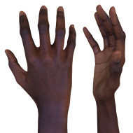 Female 3D Hand Model / Black 20 Years Old
