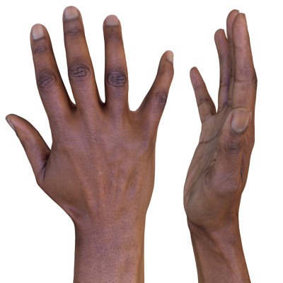Female 3D Hand Model / Black 40 Years Old