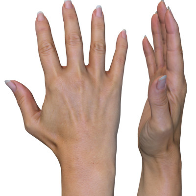 Female 3D Hand Model / White 40 Years Old