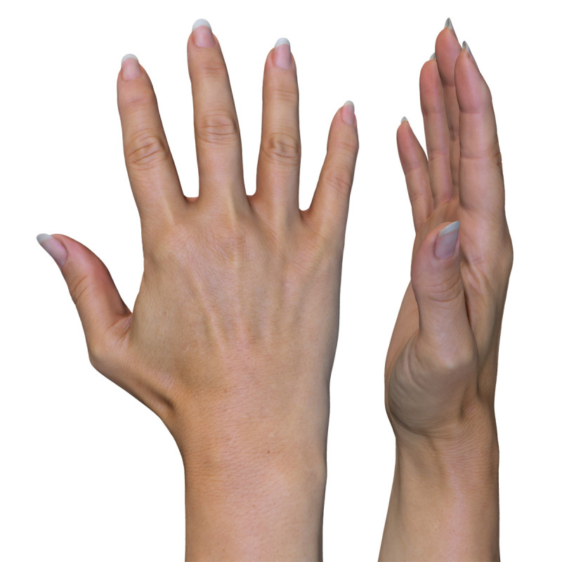 Female 3D Hand Model / White 40 Years Old
