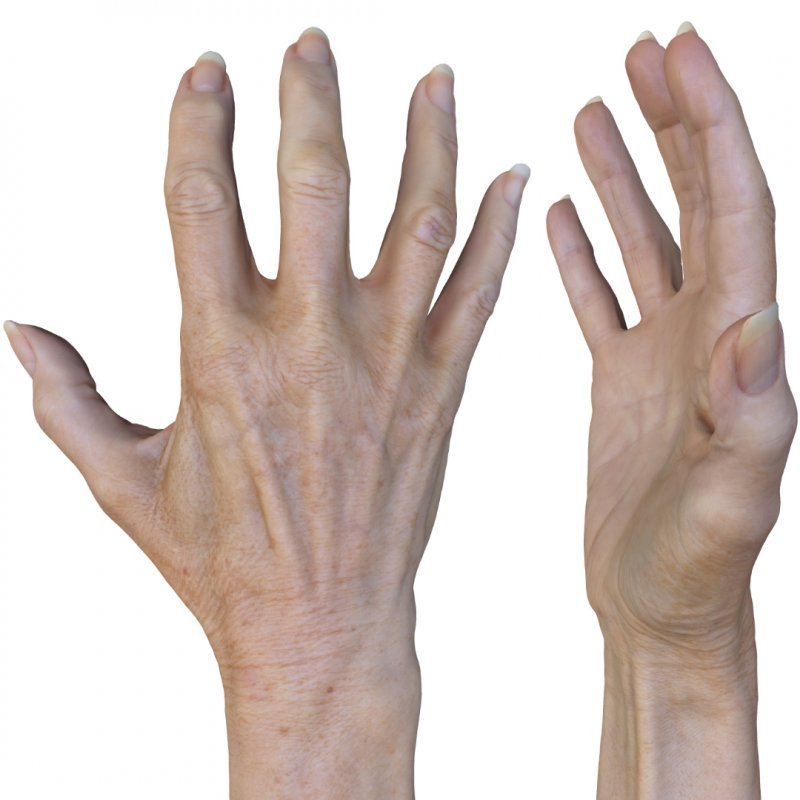 Female 3D Hand Model / White 60 Years Old