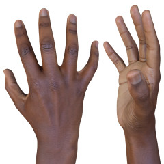 Male 3D Hand Model / Black 20 Years Old