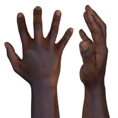 Male 3D Hand Model / Black 40 Years Old