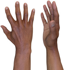 Male 3D Hand Model / Black 60 Years Old