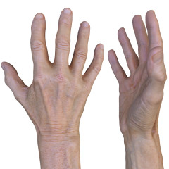 Male 3D Hand Model / White 60 Years Old