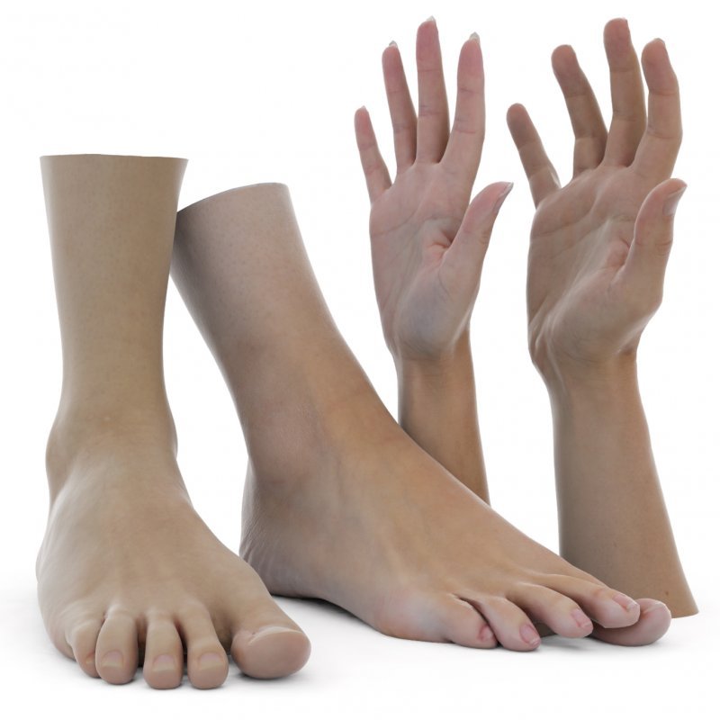 Male and Female Hands And Feet Pack