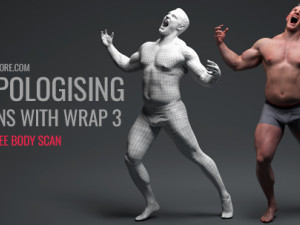 Retopologising 3D Scans with Wrap 3