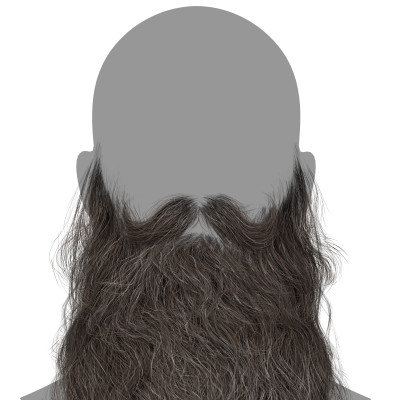 Realtime Hair -  Santa Beard