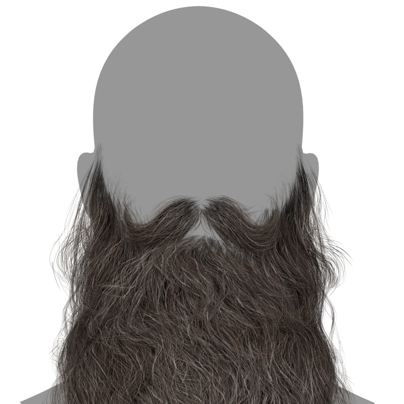 Realtime Hair -  Santa Beard
