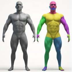 Ultimate Male Body Builder Base Mesh