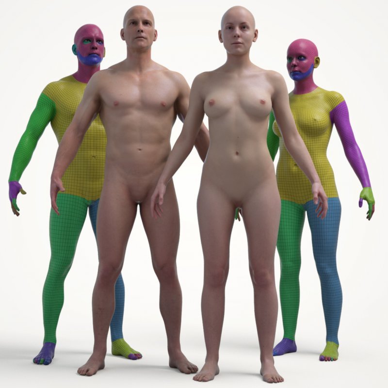 Ultimate Textured Male And Female Base Mesh Bundle