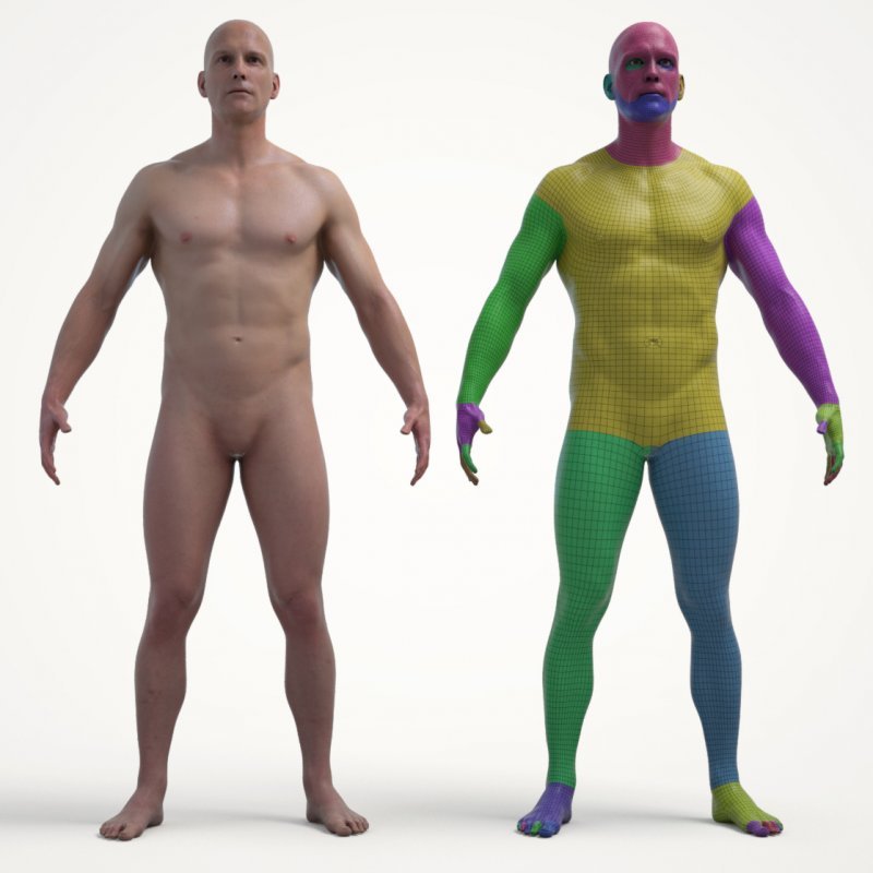 Ultimate Textured Male Base Mesh 