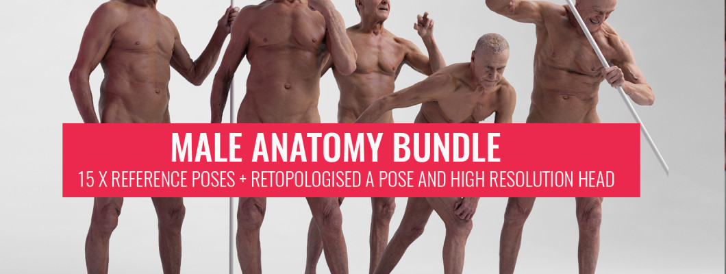 New Male Anatomy Reference Bundle