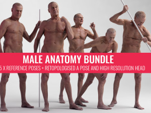 New Male Anatomy Reference Bundle