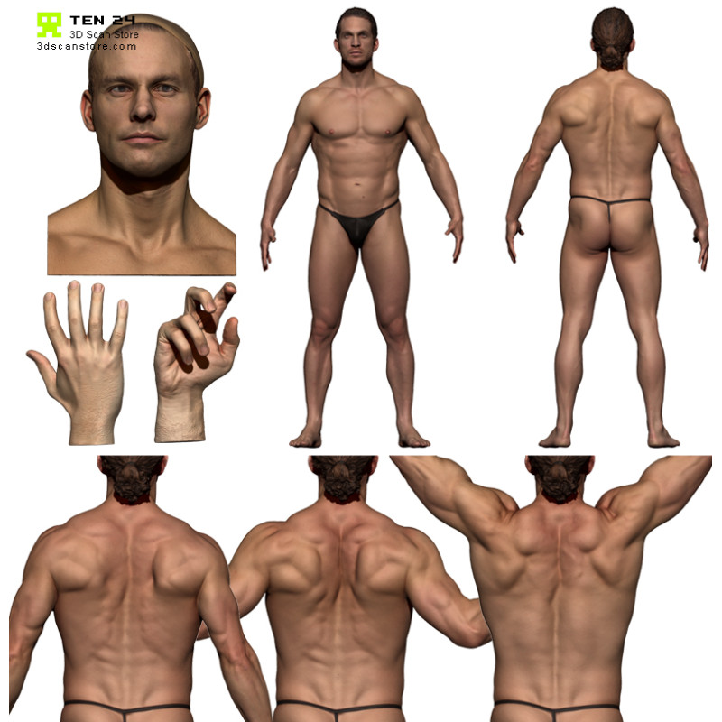 Colour Male Anatomy Bundle