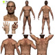 Colour Male Anatomy Bundle