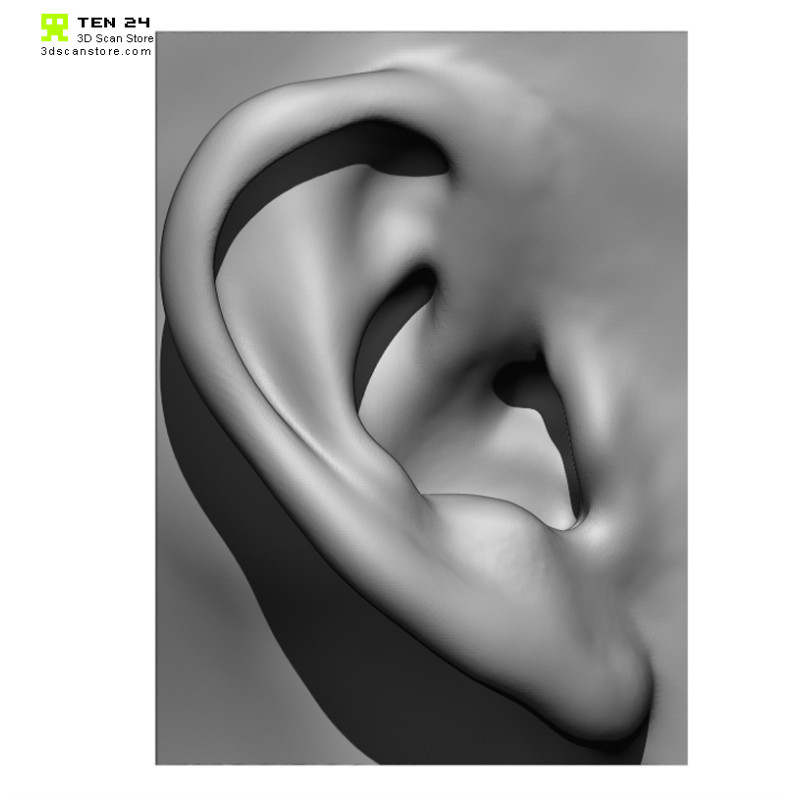 20 x Ear Scan Bundle