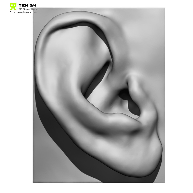 20 x Ear Scan Bundle