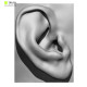 20 x Ear Scan Bundle