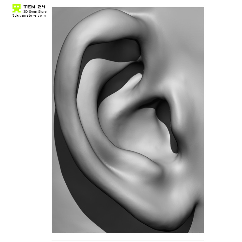 20 x Ear Scan Bundle