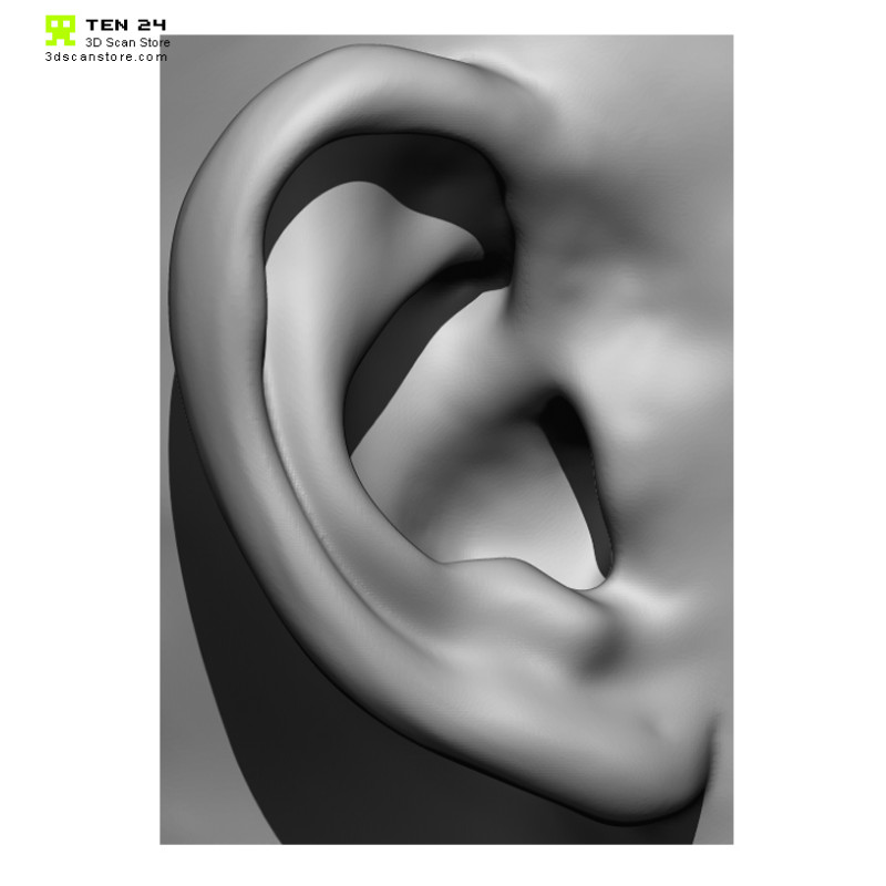 20 x Ear Scan Bundle