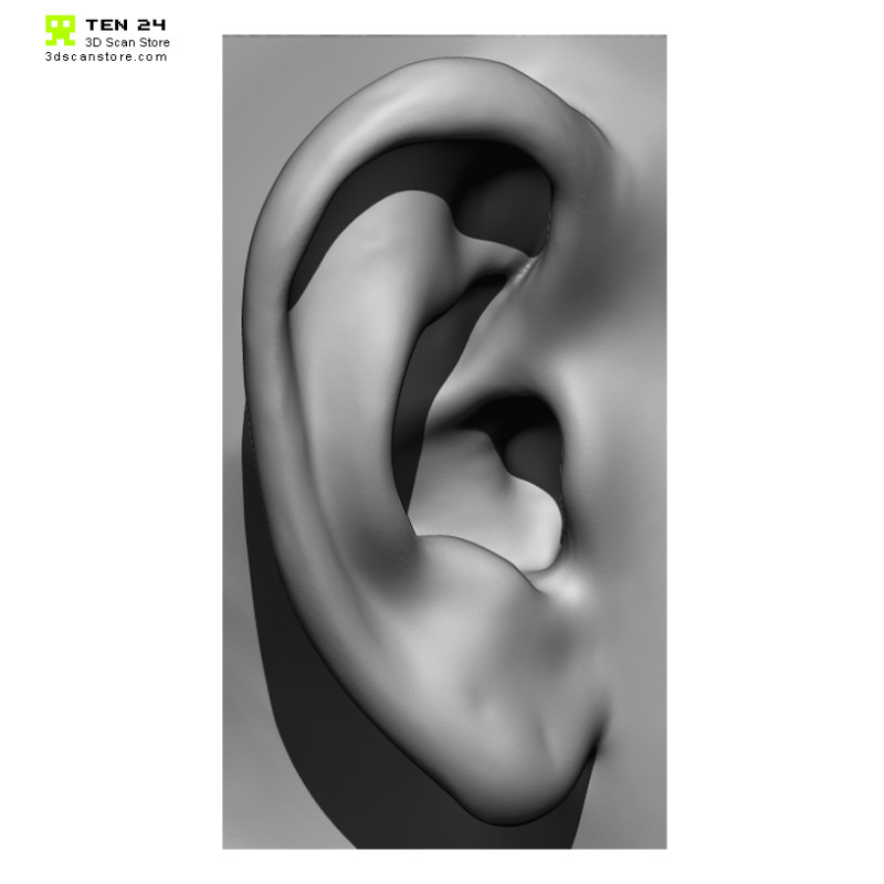 20 x Ear Scan Bundle