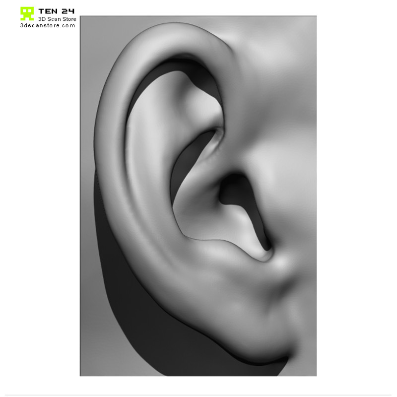 20 x Ear Scan Bundle