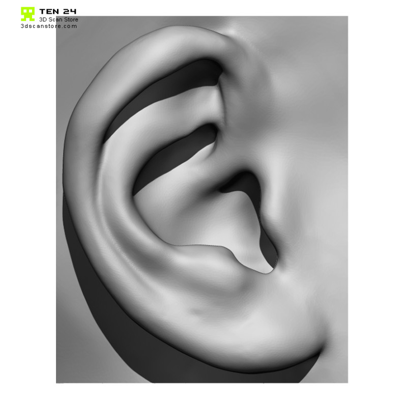 20 x Ear Scan Bundle