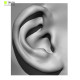 20 x Ear Scan Bundle