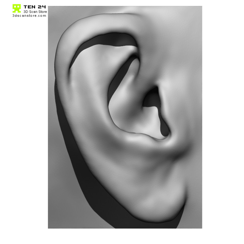 20 x Ear Scan Bundle