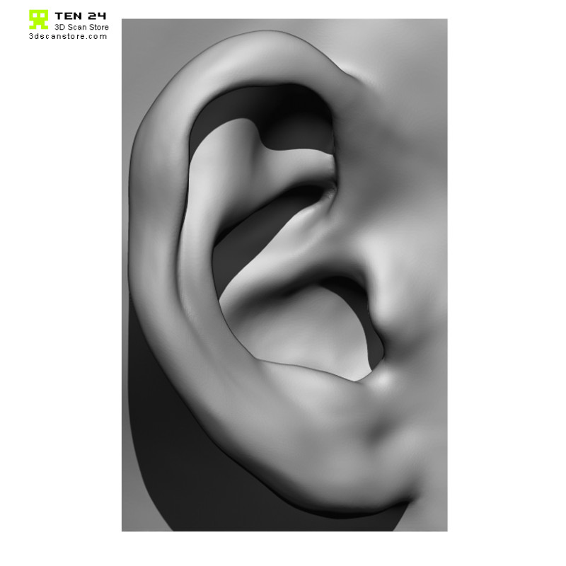 20 x Ear Scan Bundle