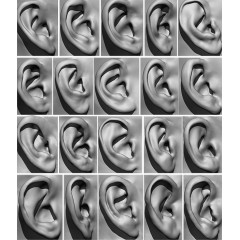 20 x Ear Scan Bundle