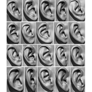 20 Ear Scan Bundle