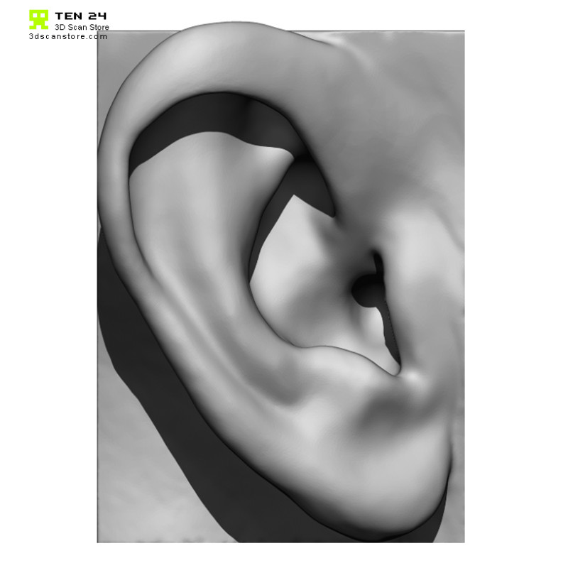 20 x Ear Scan Bundle