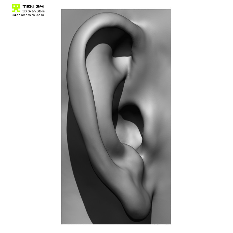 20 x Ear Scan Bundle