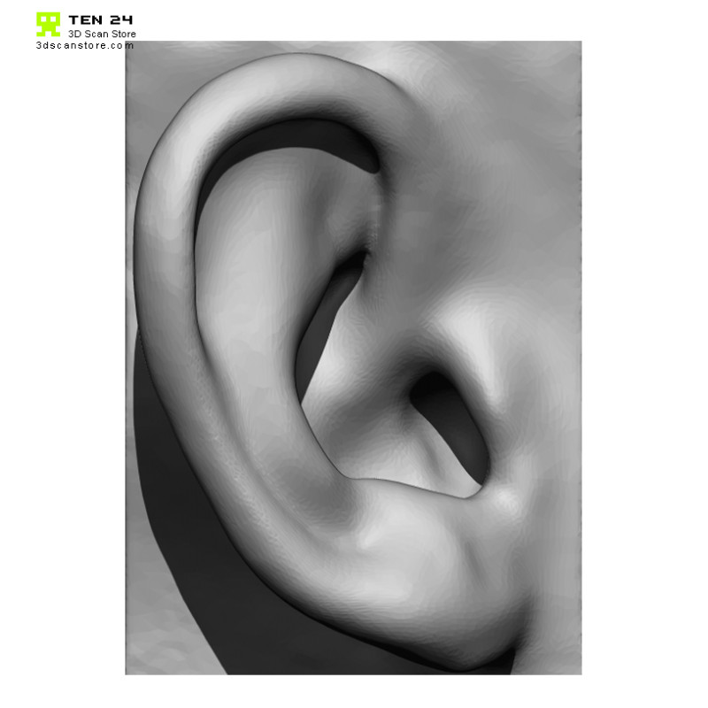 20 x Ear Scan Bundle