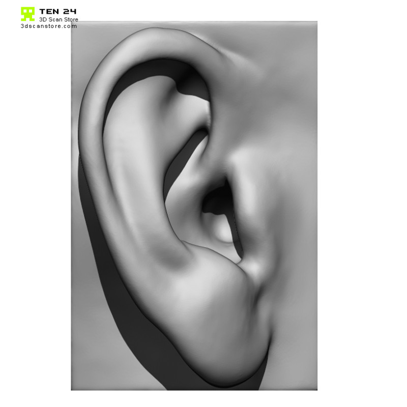 20 x Ear Scan Bundle