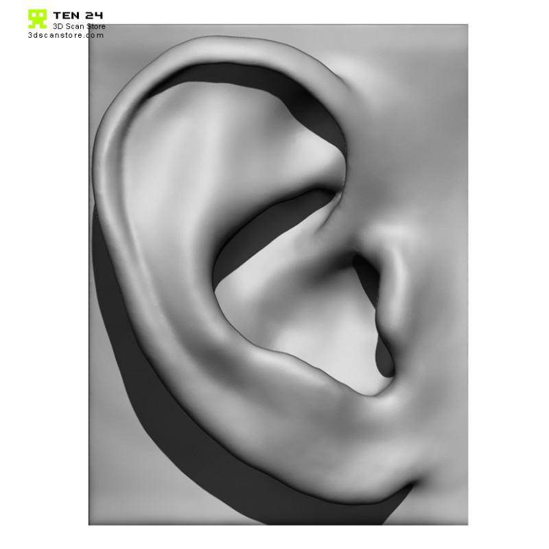 20 x Ear Scan Bundle