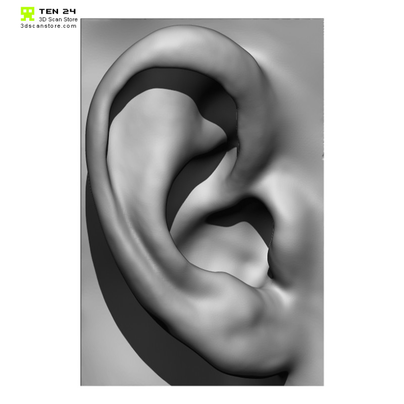 20 x Ear Scan Bundle