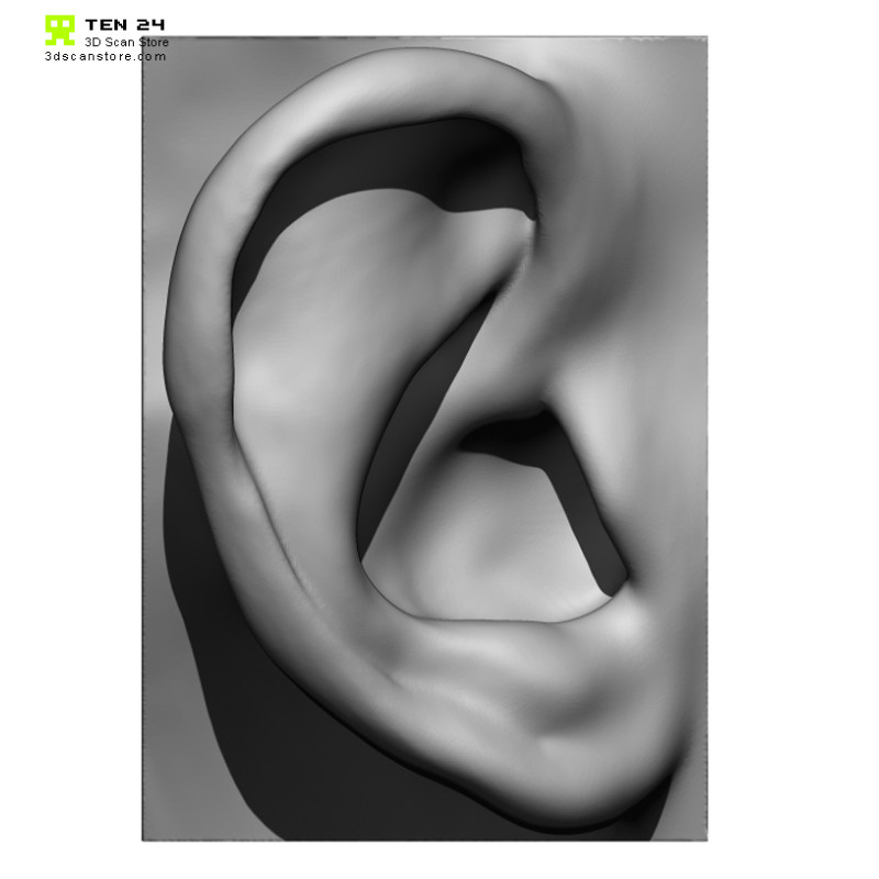 20 x Ear Scan Bundle