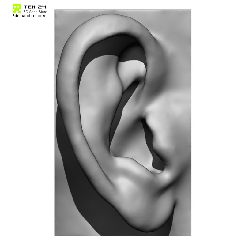 20 x Ear Scan Bundle