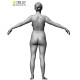 Female Anatomy Bundle 01