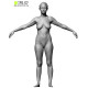 Female Anatomy Bundle 01