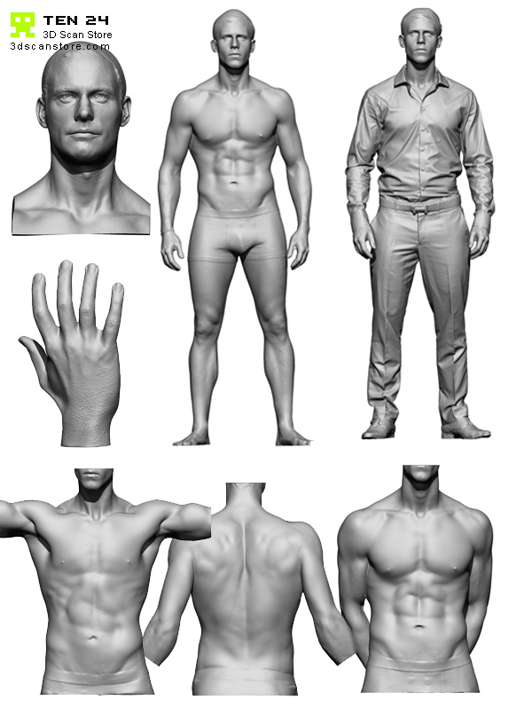 Male Anatomy Bundle 01 Male Anatomy Bundle 01